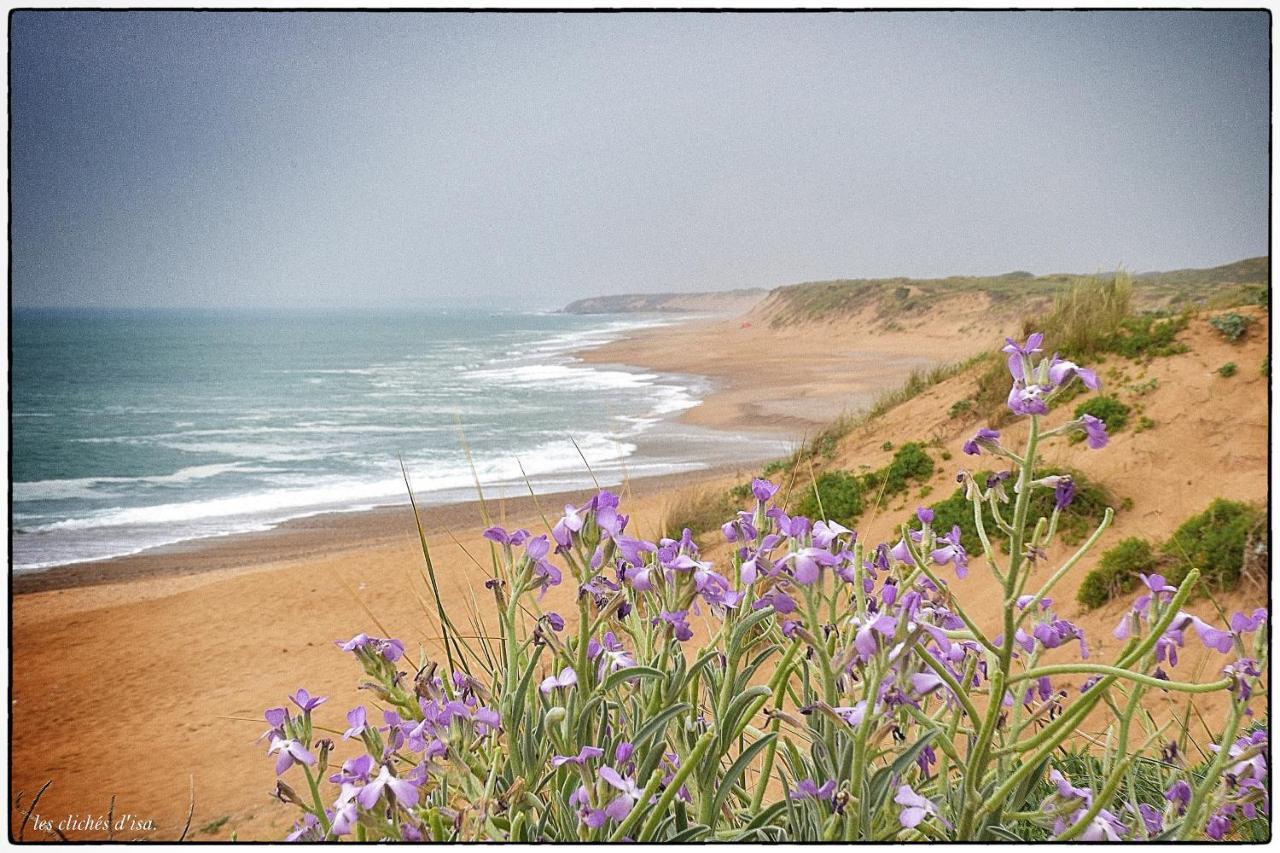 La Calypsette - Face Grande Plage Des Sables D'Olonne Les Sables-dʼOlonne 외부 사진